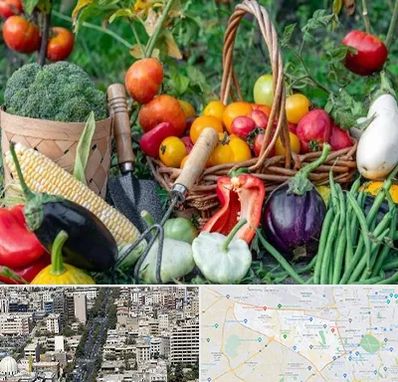 فروشگاه لوازم کشاورزی در منطقه 18 تهران 