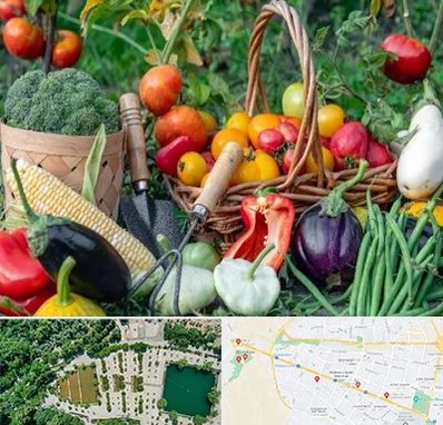 فروشگاه لوازم کشاورزی در وکیل آباد مشهد 