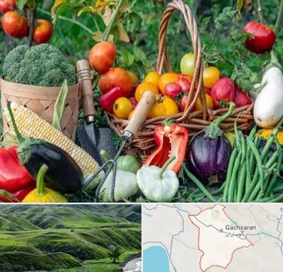 فروشگاه لوازم کشاورزی در گچساران