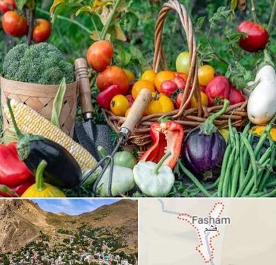 فروشگاه لوازم کشاورزی در فشم