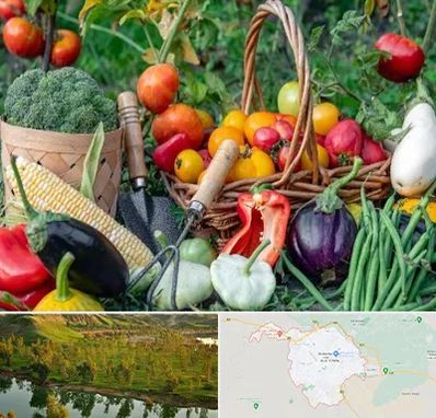 فروشگاه لوازم کشاورزی در بهبهان