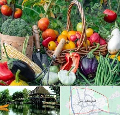 فروشگاه لوازم کشاورزی در صومعه سرا