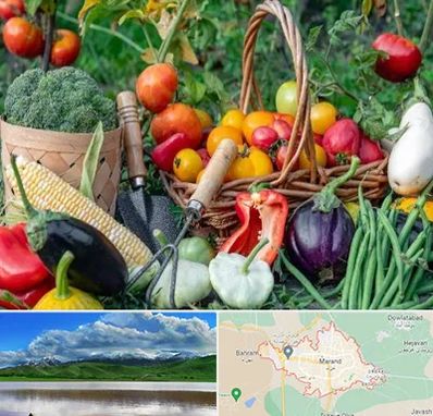 فروشگاه لوازم کشاورزی در مرند