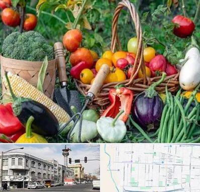 فروشگاه لوازم کشاورزی در 17شهریور