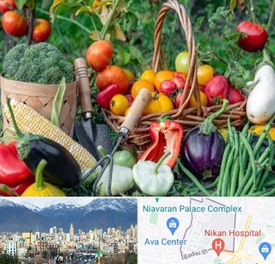 فروشگاه لوازم کشاورزی در آجودانیه 