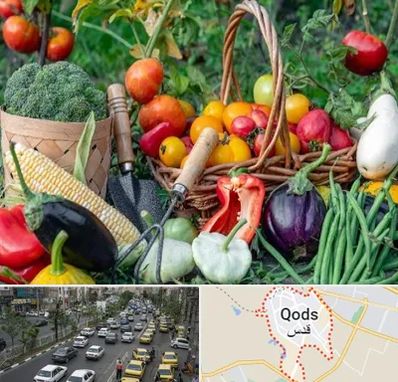 فروشگاه لوازم کشاورزی در شهر قدس