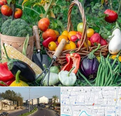 فروشگاه لوازم کشاورزی در ضیابری رشت 