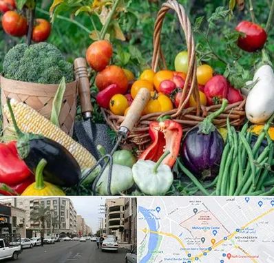 فروشگاه لوازم کشاورزی در زیتون کارمندی اهواز 