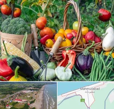 فروشگاه لوازم کشاورزی در محمودآباد