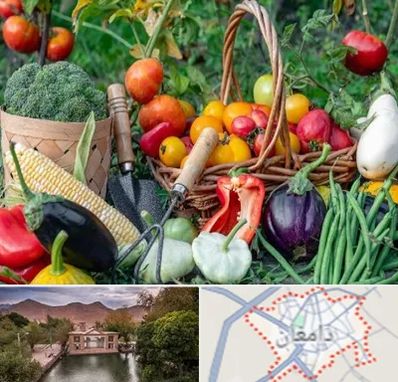 فروشگاه لوازم کشاورزی در دامغان