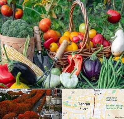 فروشگاه لوازم کشاورزی در ولیعصر 