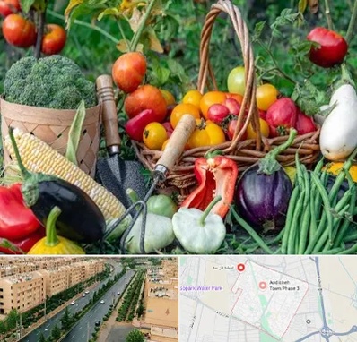 فروشگاه لوازم کشاورزی در فاز سه اندیشه