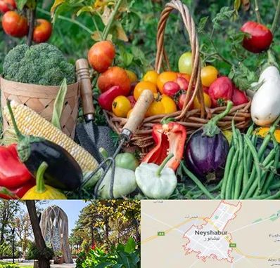 فروشگاه لوازم کشاورزی در نیشابور