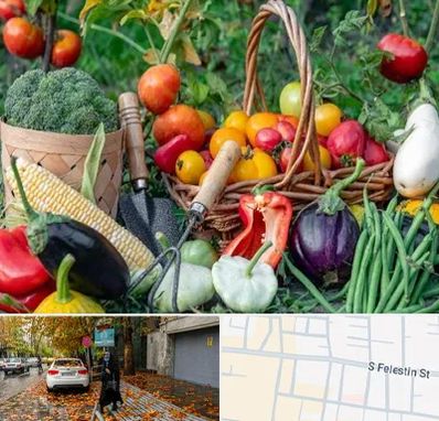 فروشگاه لوازم کشاورزی در خیابان فلسطین