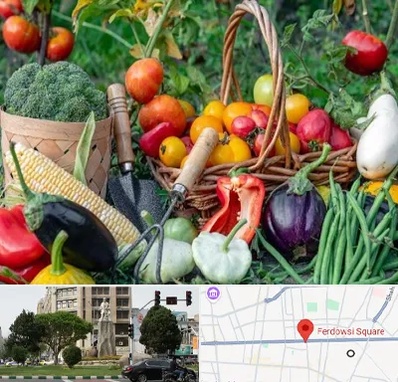 فروشگاه لوازم کشاورزی در میدان فردوسی تهران