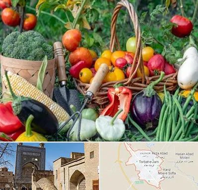 فروشگاه لوازم کشاورزی در تربت جام