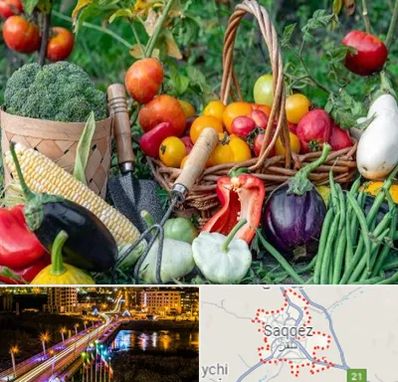 فروشگاه لوازم کشاورزی در سقز