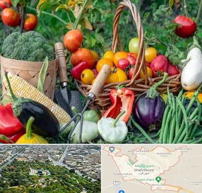 فروشگاه لوازم کشاورزی در شهرکرد