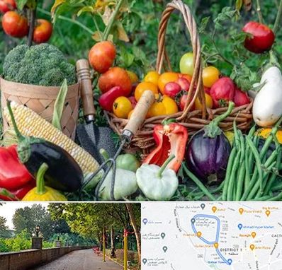 فروشگاه لوازم کشاورزی در بلوار گیلان رشت 