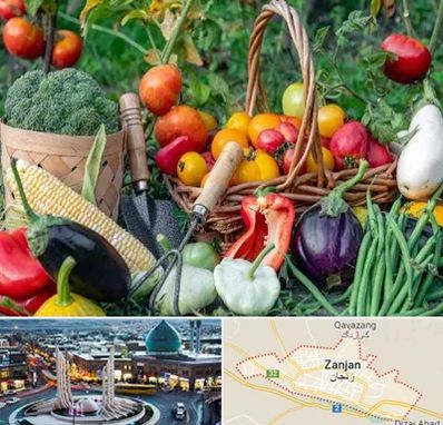 فروشگاه لوازم کشاورزی در زنجان