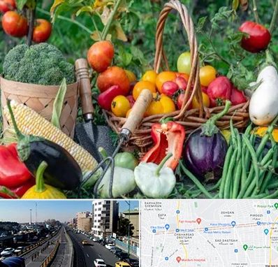 فروشگاه لوازم کشاورزی در پیروزی 