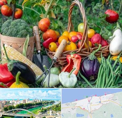 فروشگاه لوازم کشاورزی در بابلسر