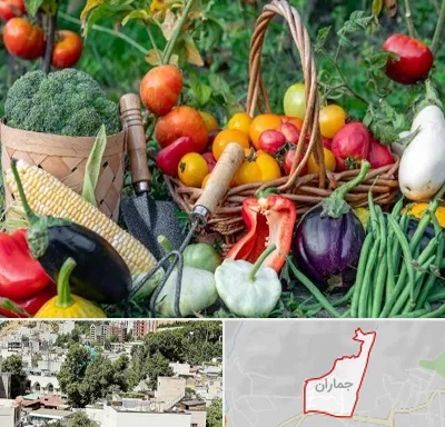فروشگاه لوازم کشاورزی در جماران