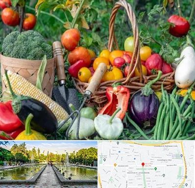 فروشگاه لوازم کشاورزی در سرسبز 