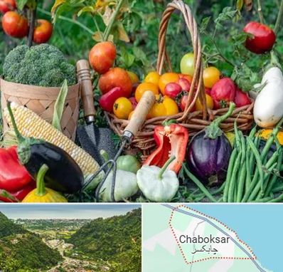 فروشگاه لوازم کشاورزی در چابکسر