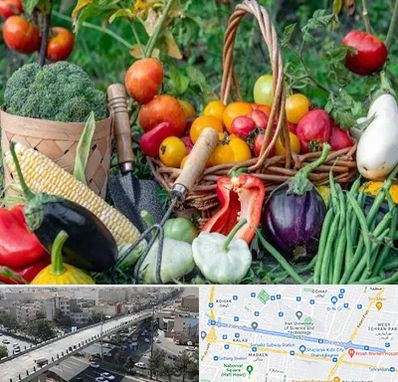 فروشگاه لوازم کشاورزی در فرجام 