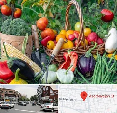 فروشگاه لوازم کشاورزی در خیابان آذربایجان