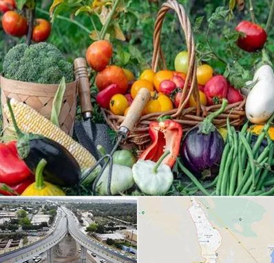 فروشگاه لوازم کشاورزی در اندیمشک