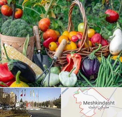 فروشگاه لوازم کشاورزی در مشکین دشت