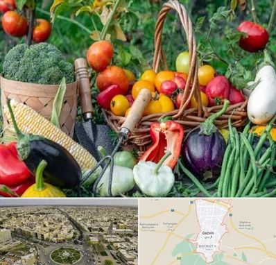 فروشگاه لوازم کشاورزی در قزوین