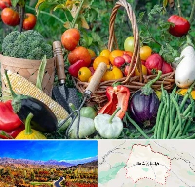 فروشگاه لوازم کشاورزی در خراسان شمالی