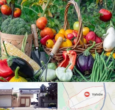 فروشگاه لوازم کشاورزی در وحیدیه شهریار