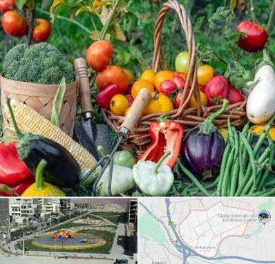 فروشگاه لوازم کشاورزی در مرزداران تبریز