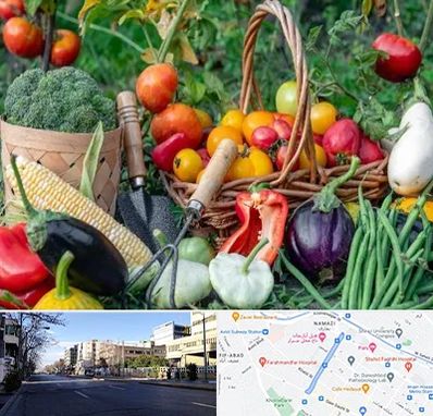 فروشگاه لوازم کشاورزی در خیابان ملاصدرا شیراز 