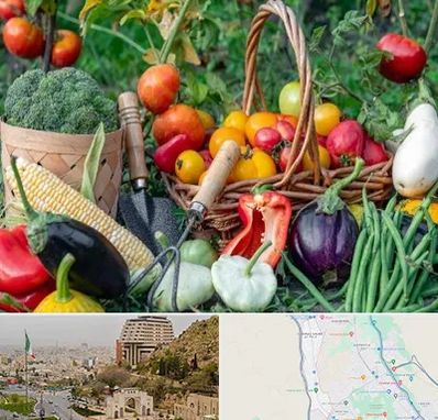 فروشگاه لوازم کشاورزی در فرهنگ شهر شیراز 