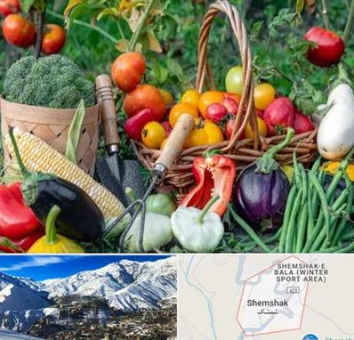 فروشگاه لوازم کشاورزی در شمشک