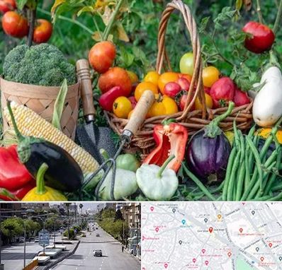 فروشگاه لوازم کشاورزی در خیابان زند شیراز 