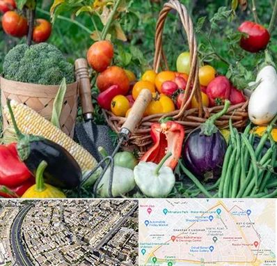 فروشگاه لوازم کشاورزی در شهرک غرب مشهد 