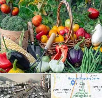 فروشگاه لوازم کشاورزی در پونک 