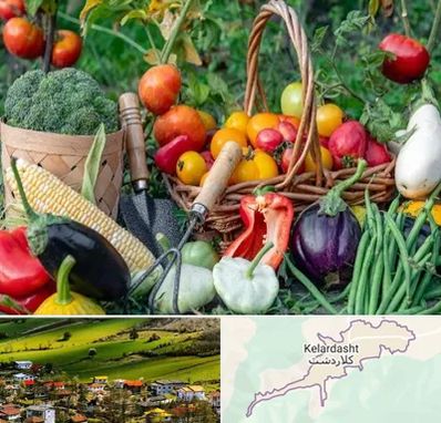 فروشگاه لوازم کشاورزی در کلاردشت