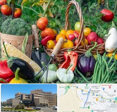 فروشگاه لوازم کشاورزی در صیاد شیرازی مشهد 