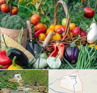 فروشگاه لوازم کشاورزی در کردان