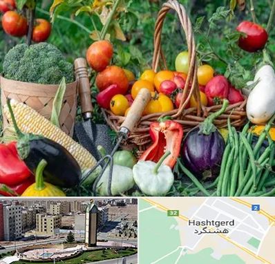 فروشگاه لوازم کشاورزی در هشتگرد