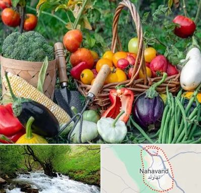 فروشگاه لوازم کشاورزی در نهاوند