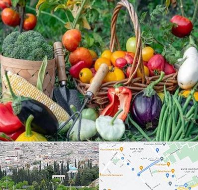 فروشگاه لوازم کشاورزی در محلاتی شیراز 