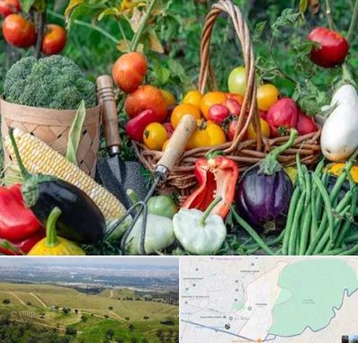 فروشگاه لوازم کشاورزی در سوهانک